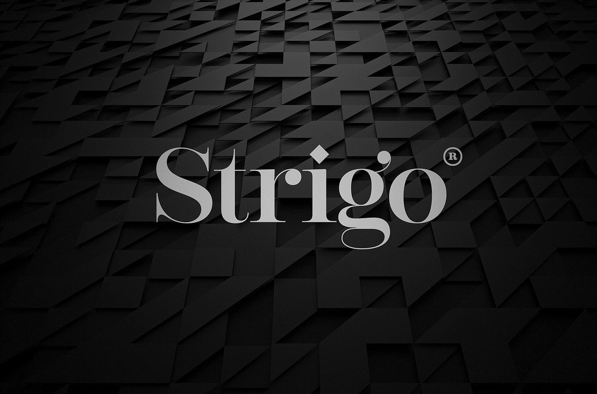 Strigo服装企业品牌设计