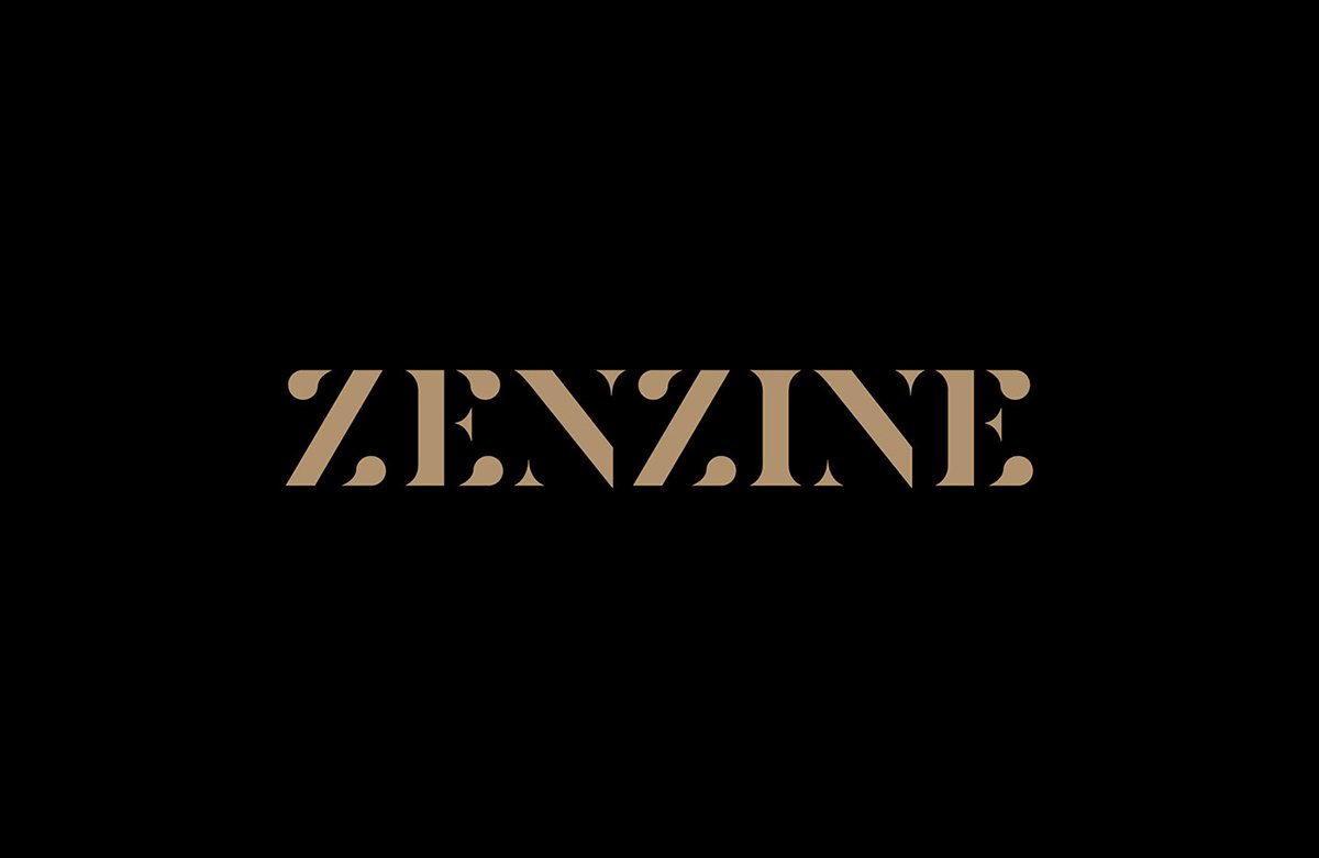 深圳VI设计  深圳VI策划  Zenzine画册VI形象设计  标志设计