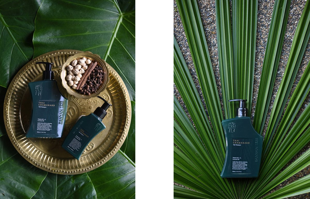 Banyan Tree企业品牌vi设计——护理品品牌视觉形象展示，vi设计，企业形象vi设计，企业品牌vi设计，品牌包装，品牌视觉形象设计，企业vi设计，深圳品牌策划，深圳vi设计，左右格局
