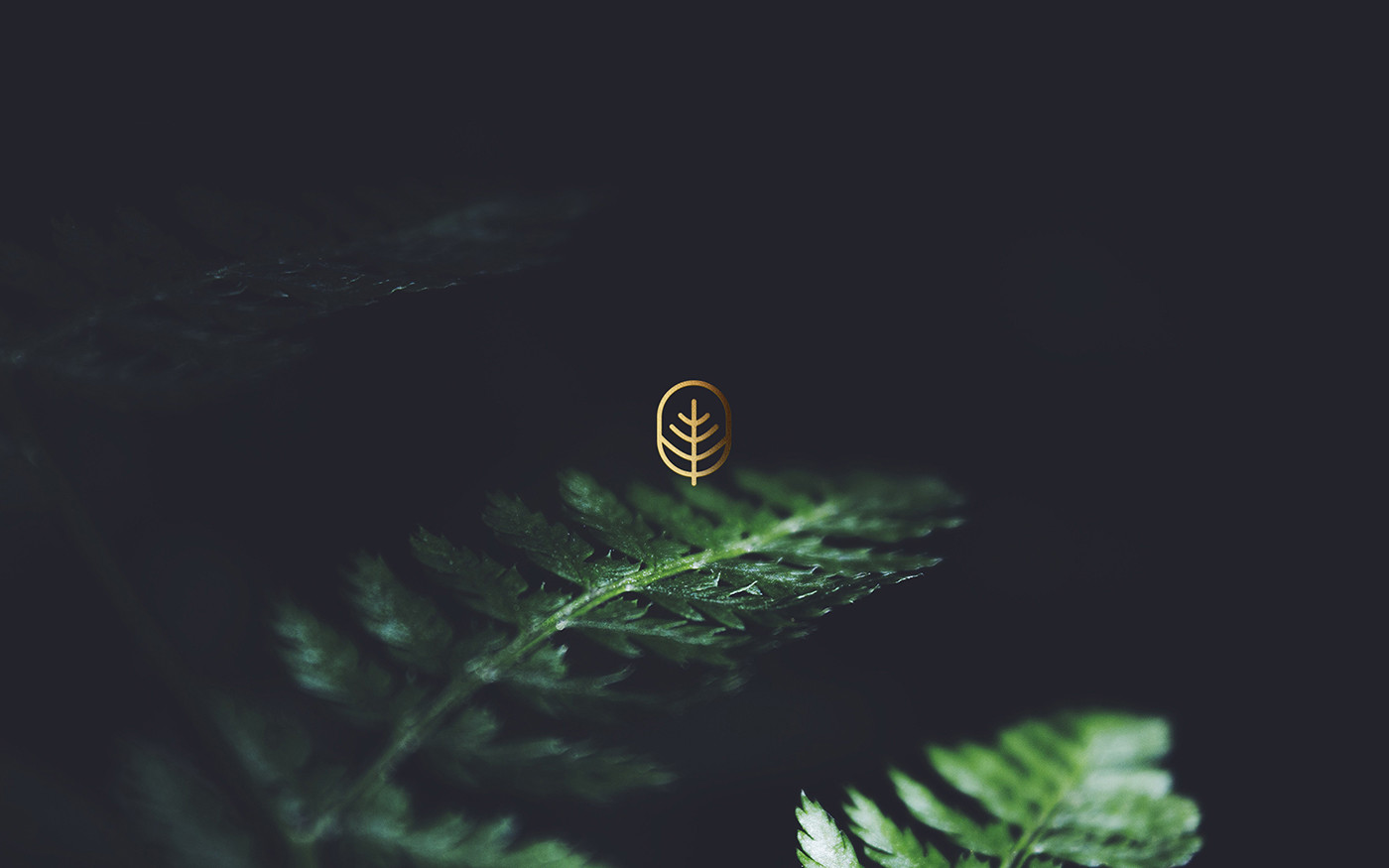 著名国外医疗机构vi设计——企业logo识别系统展示，医疗企业vi设计，企业logo设计，品牌策划，深圳vi设计，左右格局