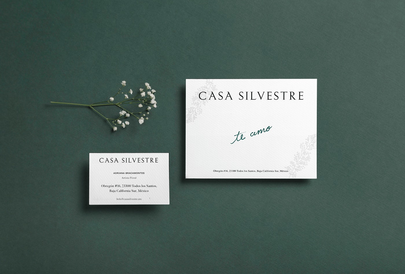 Casa Silvestre浪漫花店品牌logo设计与VI视觉设计，酒店VI设计，品牌视觉设计，企业VI设计，深圳VI设计，左右格局