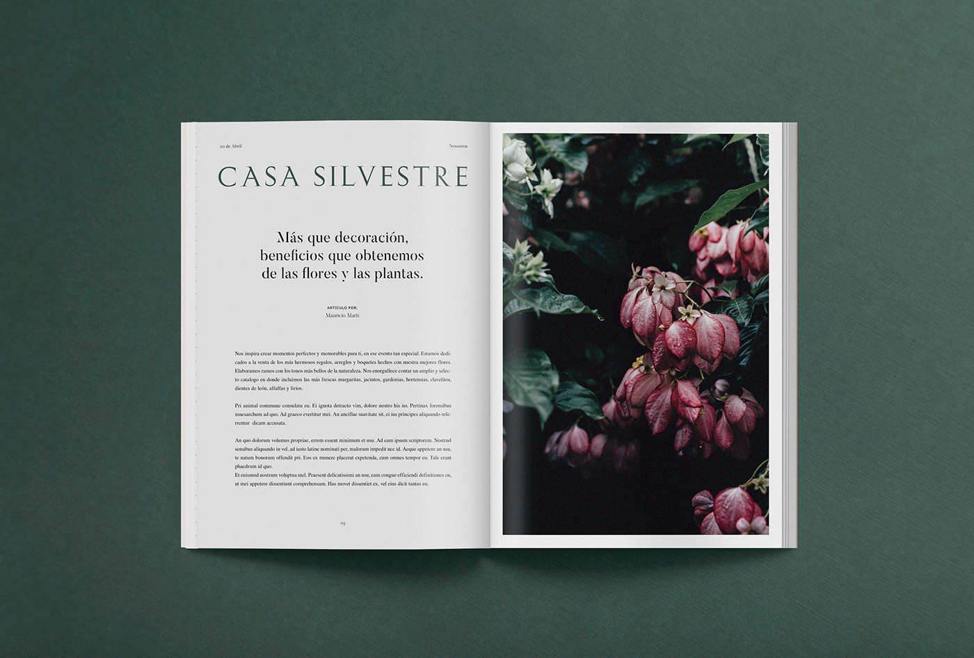 Casa Silvestre浪漫花店品牌logo设计与VI视觉设计，酒店VI设计，品牌视觉设计，企业VI设计，深圳VI设计，左右格局