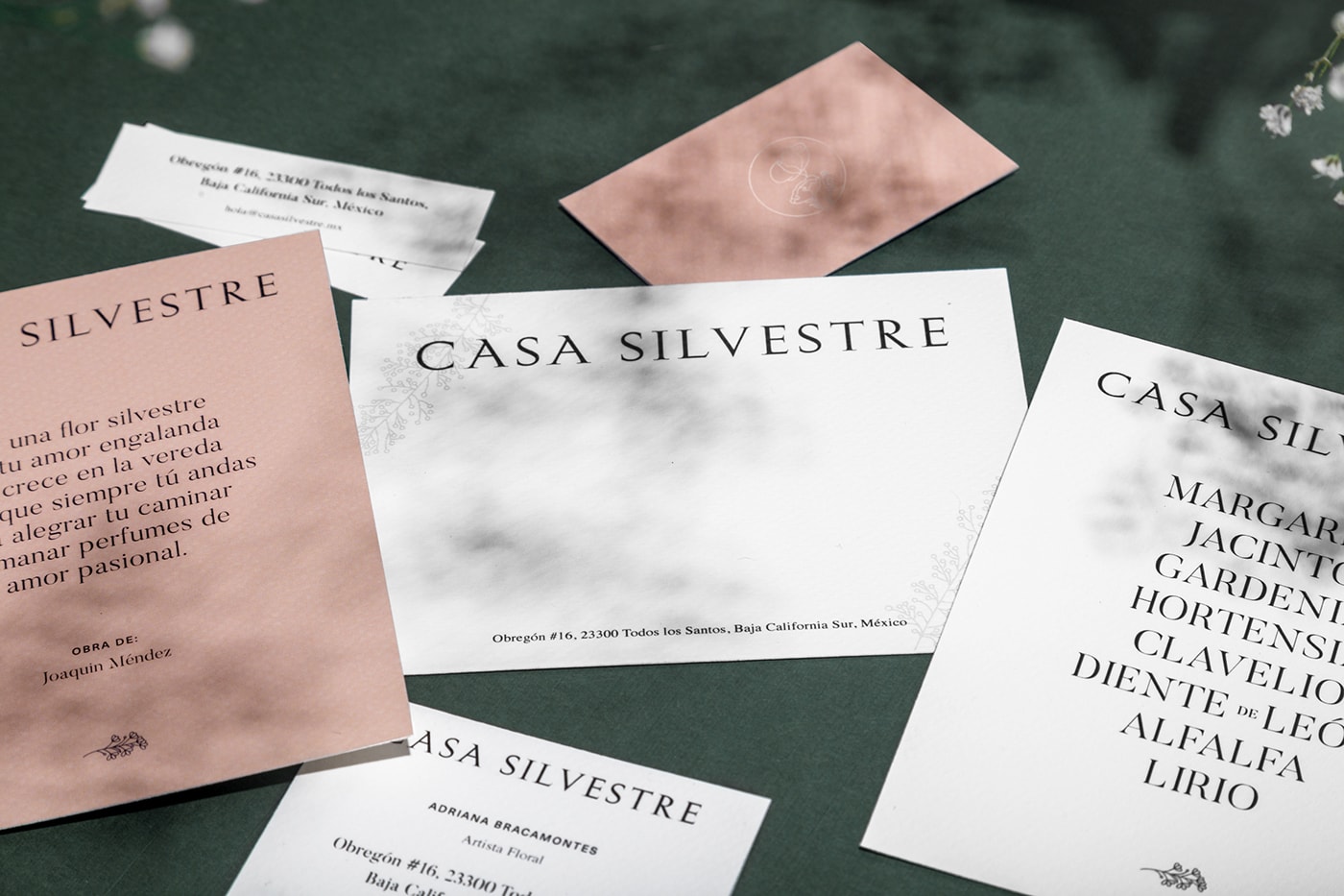 Casa Silvestre浪漫花店品牌logo设计与VI视觉设计，酒店VI设计，品牌视觉设计，企业VI设计，深圳VI设计，左右格局